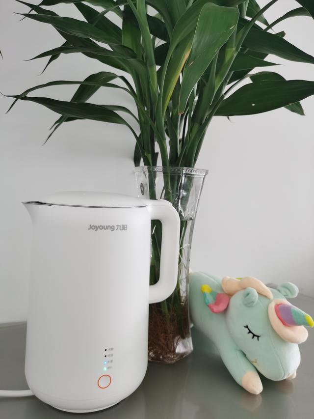 电热水壶怎么选?好的电水壶除了能加热还得能保温