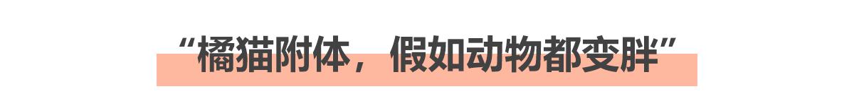 有趣的家具设计 胖嘟嘟的萌陪着减肥困难的你