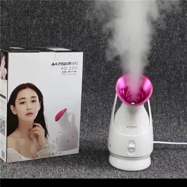 金稻蒸脸器价格是多少