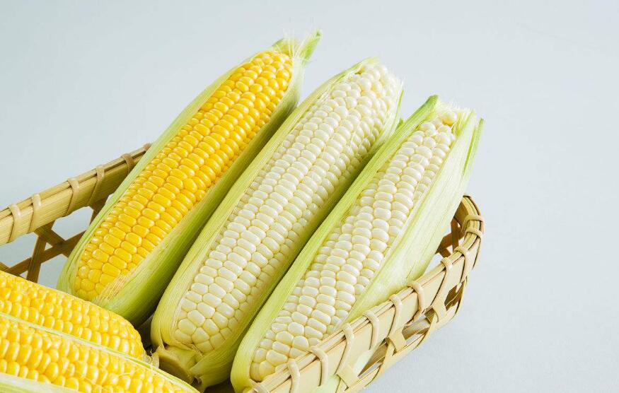 九阳豆浆机做玉米汁的方法 九阳豆浆机使用注意