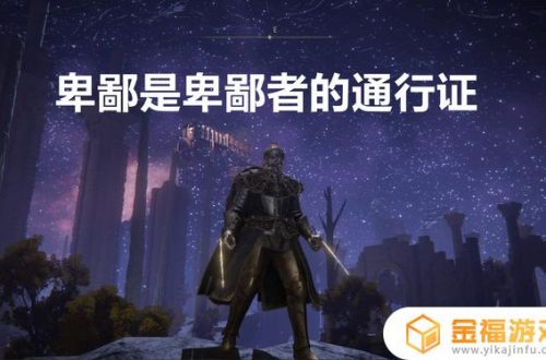 艾尔登法环大壶骑士是玩家吗