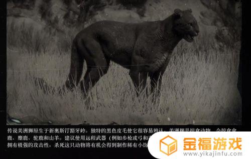 传说美洲狮前期没法获得吗 传说美洲狮位置