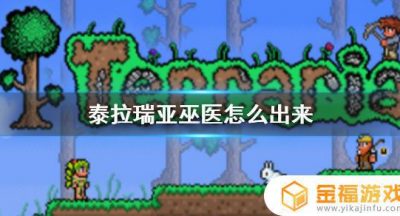 泰拉瑞亚巫医出现在哪里 泰拉瑞亚巫医在哪里找
