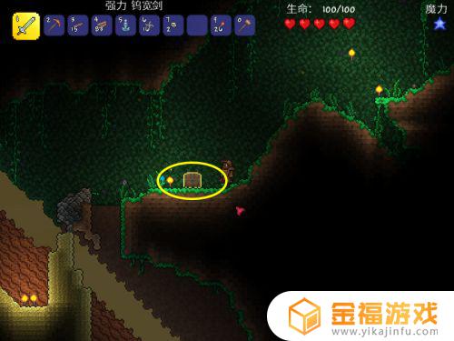 泰拉瑞亚箱子如何使用 泰拉瑞亚箱子怎么开