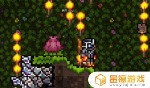 泰拉瑞亚如何快速在丛林找到花苞 泰拉瑞亚丛林花苞怎么出来