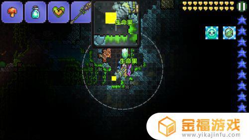 泰拉瑞亚如何种植生命果 泰拉瑞亚怎么种植生命果