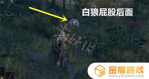 艾尔登法环找到三个睿智兽物 艾尔登法环故事