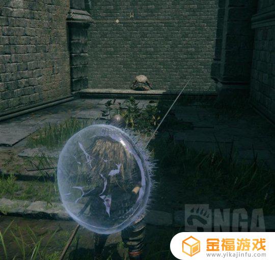 艾尔登法环望远镜旁边的人 艾尔登法环 望远镜旁边