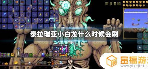泰拉瑞亚如何刷小白龙 泰拉瑞亚小白龙多久刷一次