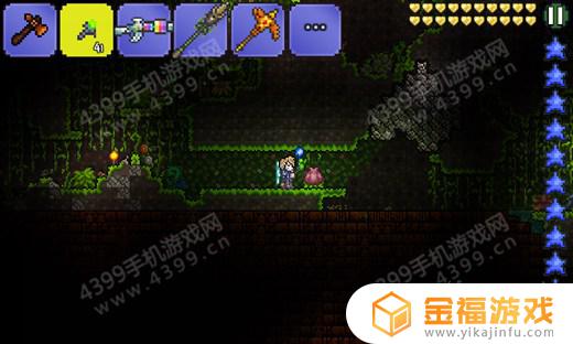 泰拉瑞亚1.3花苞在哪里 泰拉瑞亚1.4花苞找不到