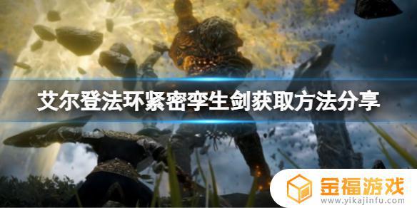 艾尔登法环交出孪生 艾尔登法环交出孪生盔甲