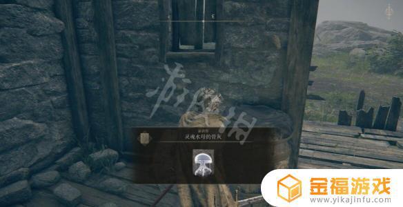 艾尔登法环斗篷npc 艾尔登法环斗篷巨人