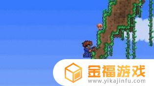 泰拉瑞亚中空岛在哪里 泰拉瑞亚空岛位置