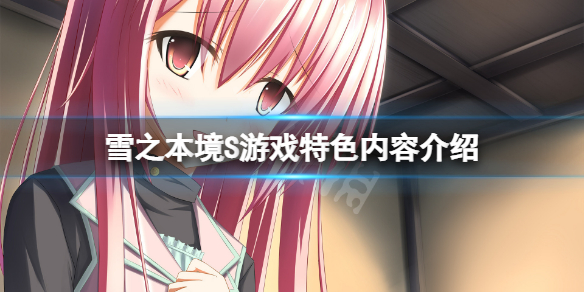 《雪之本境S》好玩吗？游戏特征内容介绍  第1张