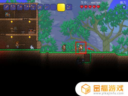 泰拉瑞亚如何捕虫网 泰拉瑞亚捕虫网怎么用