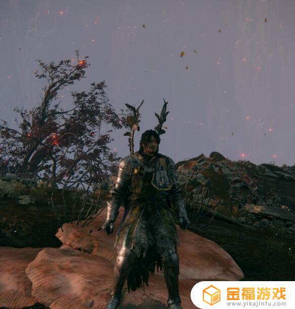 艾尔登法环狼骑士在哪里 艾尔登法环狼人