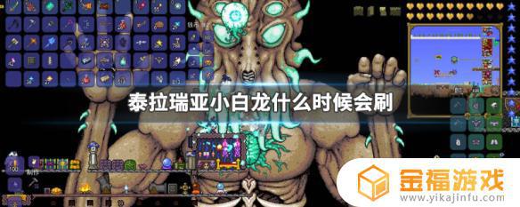 泰拉瑞亚小白龙哪里刷 泰拉瑞亚小白龙多久刷一次