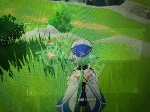 《原神》蒙德特产在哪？蒙德特产相片搜集攻略共享  第17张
