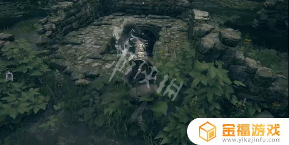艾尔登法环法师奇袭魔 艾尔登法环boss