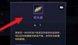 黑色沙漠手游蛇头鱼在哪 黑色沙漠手游蛇头鱼分布位置插图1
