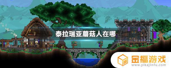 泰拉瑞亚的人在哪里找 泰拉瑞亚怎么找人