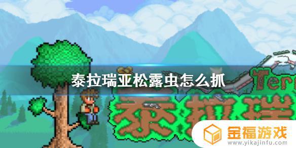 泰拉瑞亚虫子怎么抓 泰拉瑞亚怎么捉虫子
