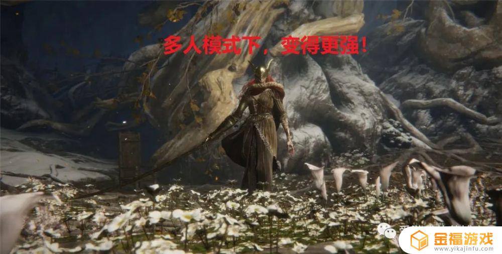艾尔登法环光头强 艾尔登法环光头强捏脸数据