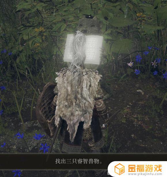 艾尔登法环奥利提斯魔法师塔在哪里 艾尔登法环攻略