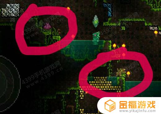 泰拉瑞亚的丛林之花在哪里 泰拉瑞亚丛林世纪之花怎么找