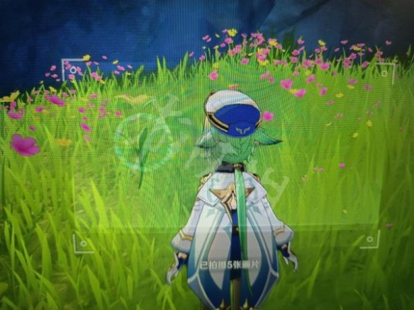 《原神》蒙德特产在哪？蒙德特产相片搜集攻略共享  第18张