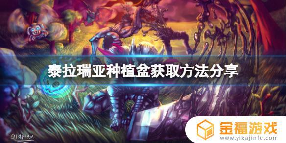 泰拉瑞亚如何判断种植盆 泰拉瑞亚种植盆有什么区别吗