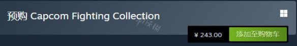 《卡普空搏斗合集》steam多少钱？预购奖赏内容一览  第2张