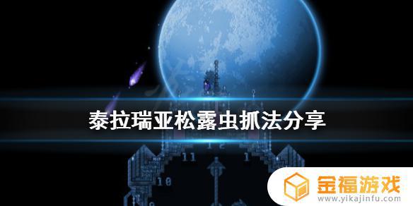 泰拉瑞亚中如何找到松露虫 泰拉瑞亚怎么找到松露虫