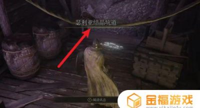 艾尔登法环瑟利亚出不去 艾尔登法环攻略