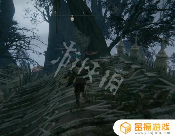艾尔登法环琥珀卵 艾尔登法环琥珀星光