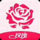 红玫瑰直播