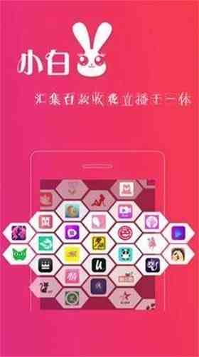 829TV小白兔直播