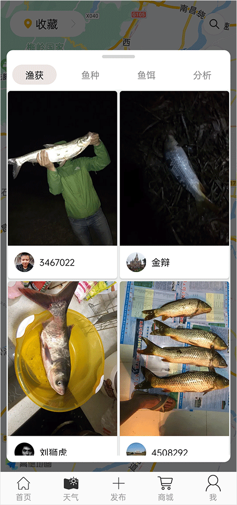 渔获天气预报