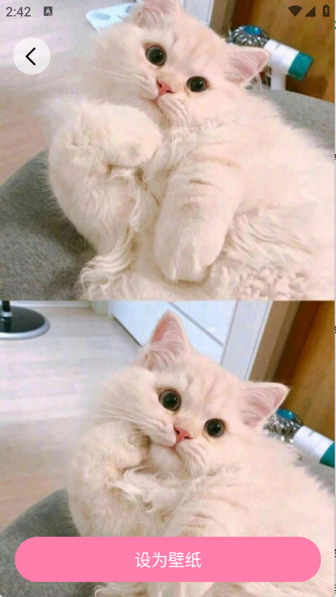 小粉世界壁纸