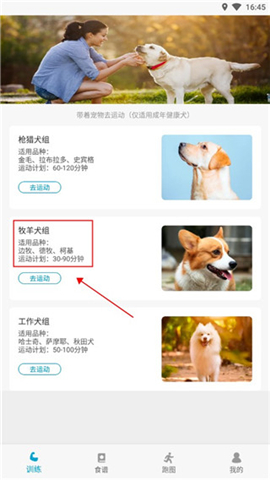 小兔乐跑软件