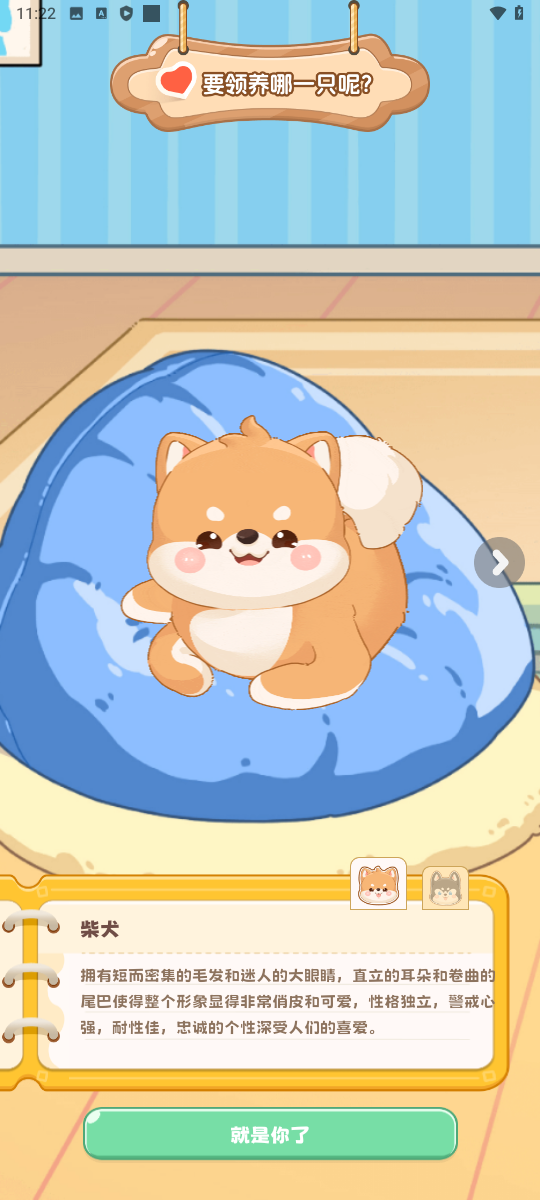 桌面汪手机版