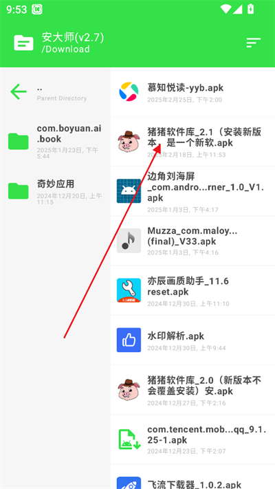 安大师