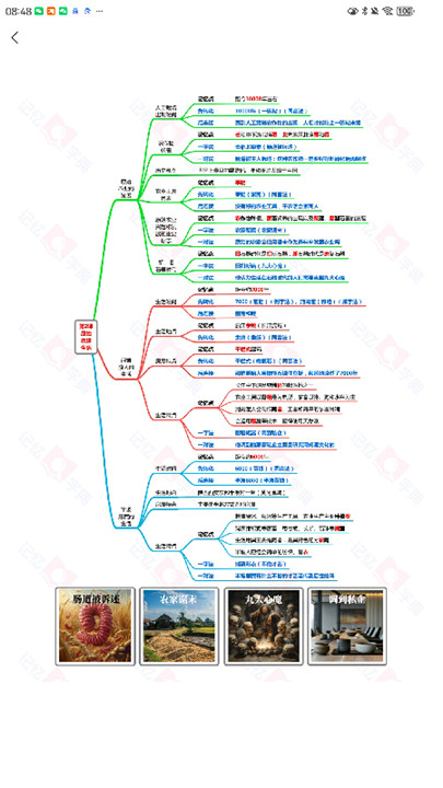 记忆字典小学生版