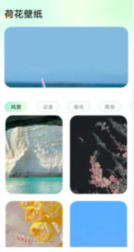 荷花壁纸手机版