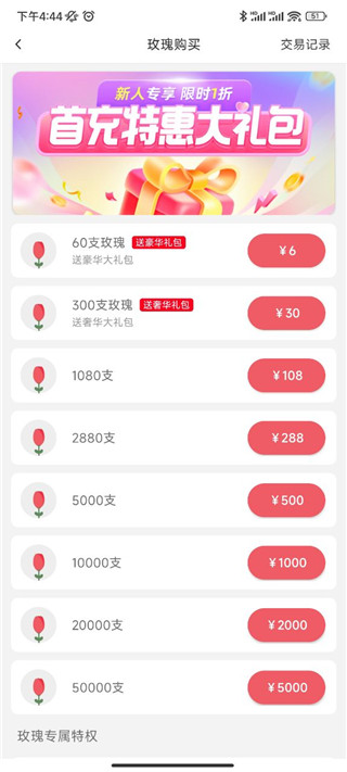 伊对视频相亲交友